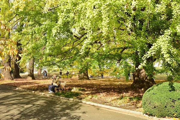 Tokyo Japan November 2019 Unidentified Many People Walking Shinjuku Gyoen — Stock Photo, Image