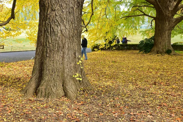 Tóquio Japão Novembro 2019 Muitas Pessoas Não Identificadas Estão Andando — Fotografia de Stock