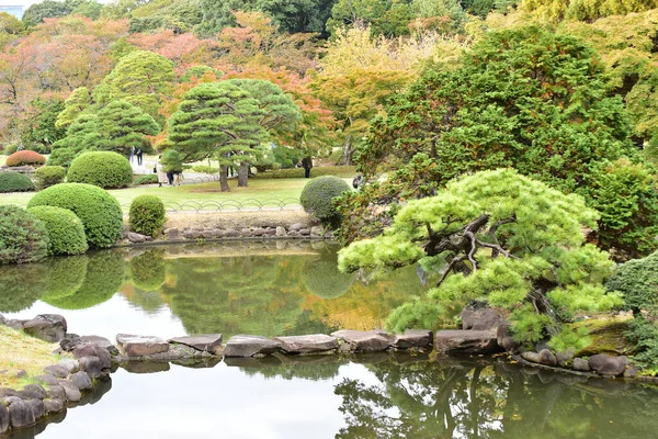 Tokio Japón Noviembre 2019 Sin Identificar Muchas Personas Están Caminando — Foto de Stock