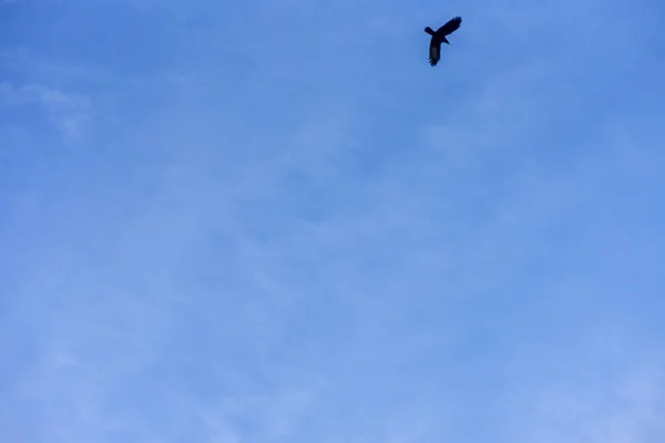 Blauer Himmel Und Weiße Wolken Als Hintergrund — Stockfoto