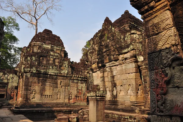 Preah Karaca Siem Reap, Kamboçya 