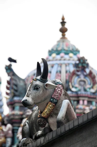 Святая индуистская статуя коровы в храме Шри Мариаммана — стоковое фото