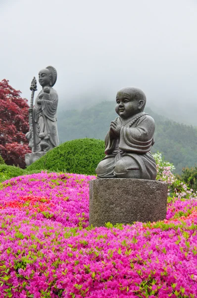 Boeddha standbeeld in Wowoojongsa tempel, Zuid-korea — Stockfoto