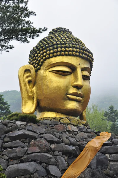 Buddha-Statue im Wowoojongsa-Tempel, Südkorea — Stockfoto