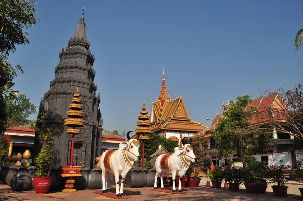 Preah Prohm Rath, Siem Reap, Камбоджа — стоковое фото