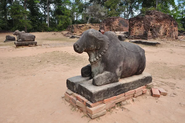 Estatua de vaca santa en el templo de Preah Ko, Camboya — Foto de Stock