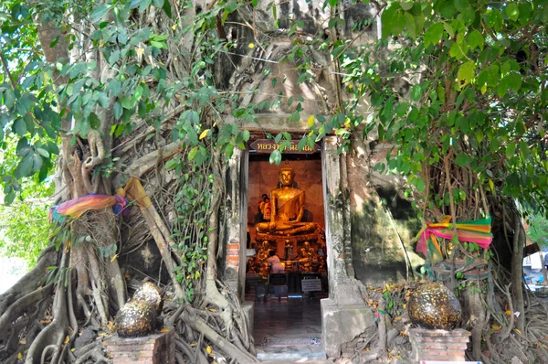 Statua del Buddha dorato all'interno dell'antico tempio di Wat Bang Kung — Foto Stock