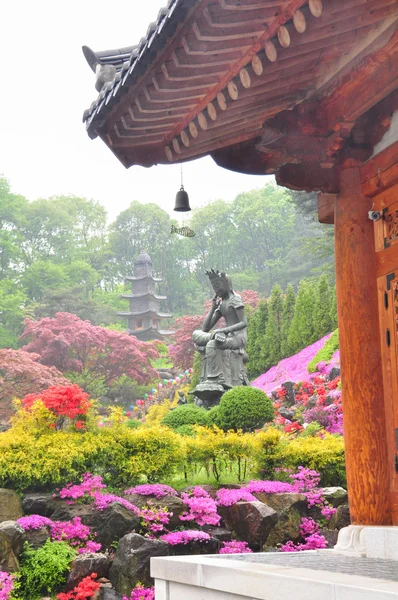 Прекрасний вид на храм Wowoojongsa, Південна Корея — стокове фото