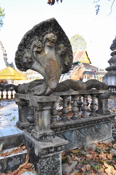 Linda Wat Athvea em Ankor, Camboja — Fotografia de Stock