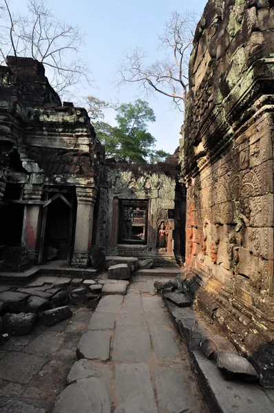 Preah Khan Tapınağı, Siem reap, Kamboçya
