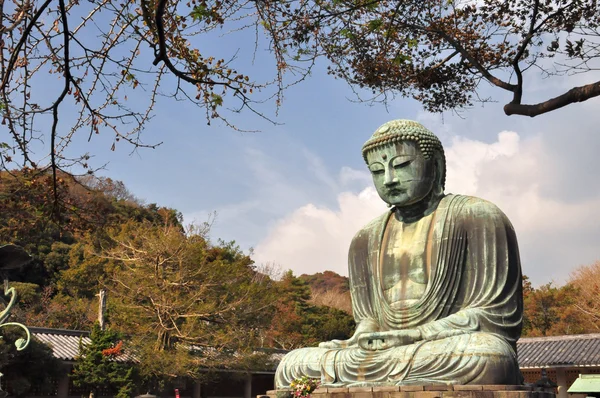 Kamakura Daibutsu al Tempio di Kotoku-in — Foto Stock