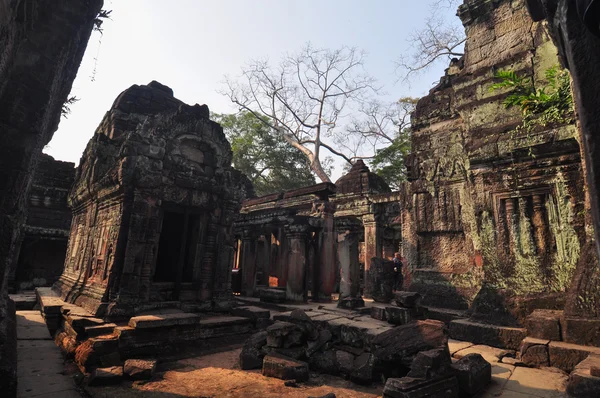 Храм Преах-Хана в Сием-Рипе, Камбоджа — стоковое фото