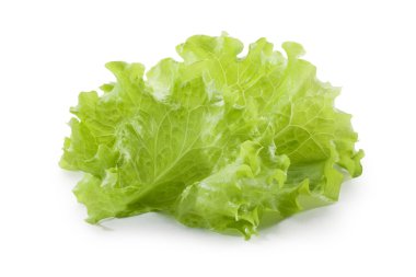 Beyaz arkaplanda marul salatası izole