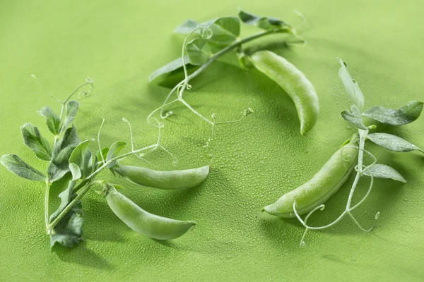 Groene erwten peulen — Stockfoto