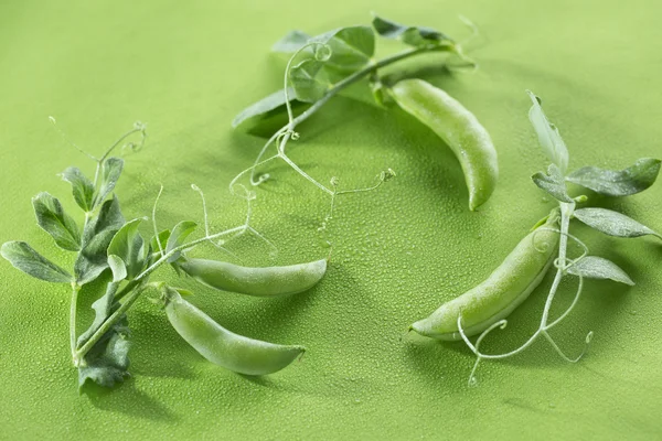 绿豌豆荚 图库图片