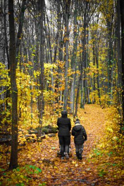 Sonbahar yaprakları üzerinde yürüyen aile manzarası