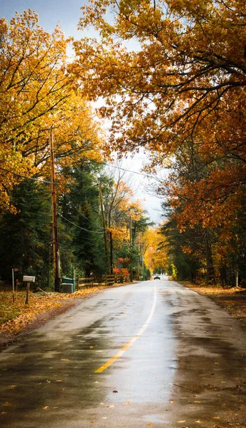 Vista Panoramica Della Strada Bagnata Vuota Autunno — Foto Stock