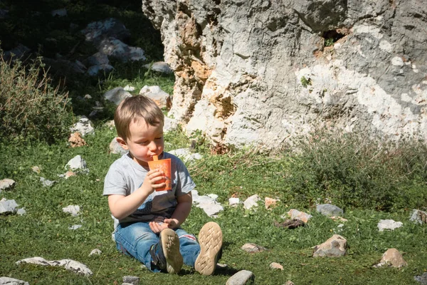 若い男の子は草の上でジュースを飲む — ストック写真