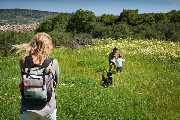 Kinderen Spelen Met Hond Het Veld Moeder Kijkt Naar Hen — Stockfoto