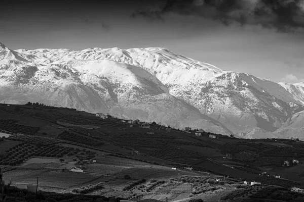 Vista Panorâmica Preto Branco Natureza Inverno — Fotografia de Stock