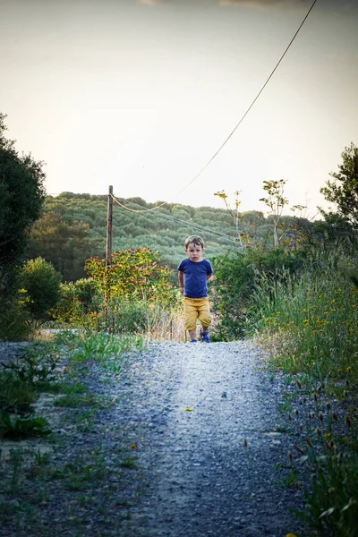 Niño Caminando Camino Del Bosque Solo — Foto de Stock