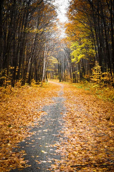 Scenic View Autumn Foot Path — Stock Photo, Image