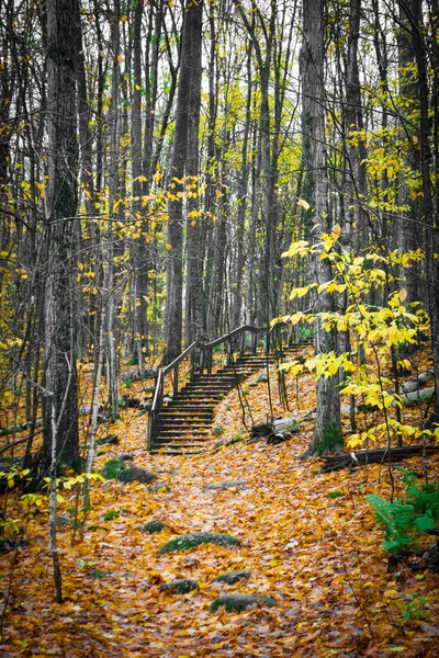 Vista Panorámica Naturaleza Otoño — Foto de Stock