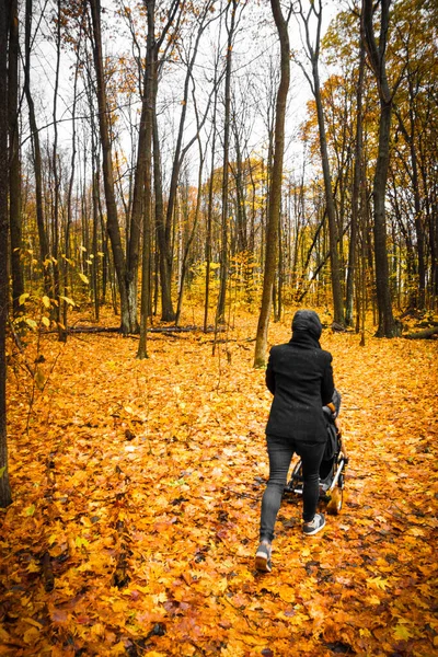 Zadní Pohled Ženu Kráčející Kočárkem Podzim — Stock fotografie
