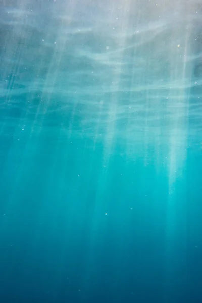 Güneş Işığının Deniz Altındaki Taşların Yansıması — Stok fotoğraf