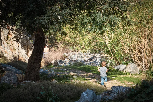 Niño Caminando Bosque Través Del Camino —  Fotos de Stock