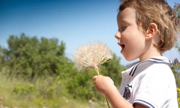 Primer Plano Del Chico Preparándose Para Soplar Diente León — Foto de Stock