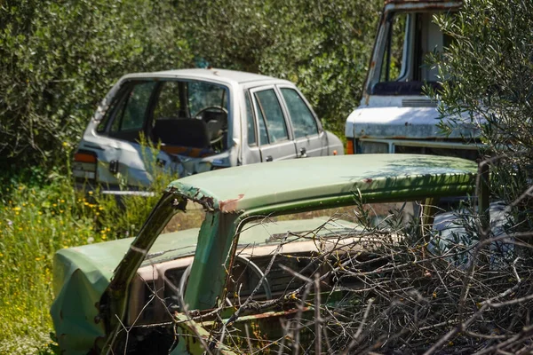Opuszczone Samochody Lesie Gołymi Gałęziami — Zdjęcie stockowe