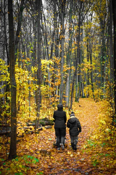 Zadní Pohled Rodinu Kráčející Podzimní Listí — Stock fotografie