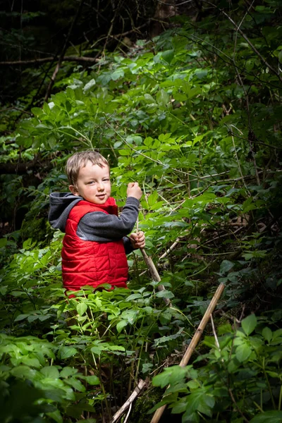 Porträtt Ung Pojke Som Håller Kvisten Skogen — Stockfoto
