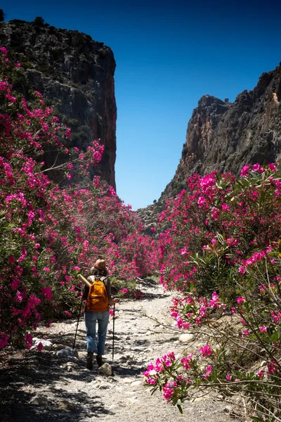 Vista Trasera Joven Mujer Caminando Hacia Montaña —  Fotos de Stock