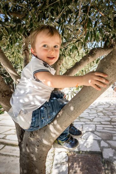 Niedlicher Kleiner Lächelnder Junge Sitzt Auf Baum — Stockfoto