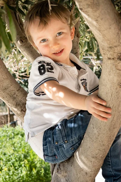 Retrato Niño Sonriente Sentado Árbol Mirando Cámara — Foto de Stock