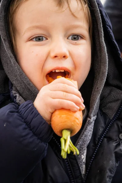 Lindo Niño Comiendo Zanahoria Usando Chaqueta — Foto de Stock