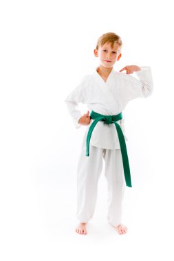 Kendi üzerine işaret modeli