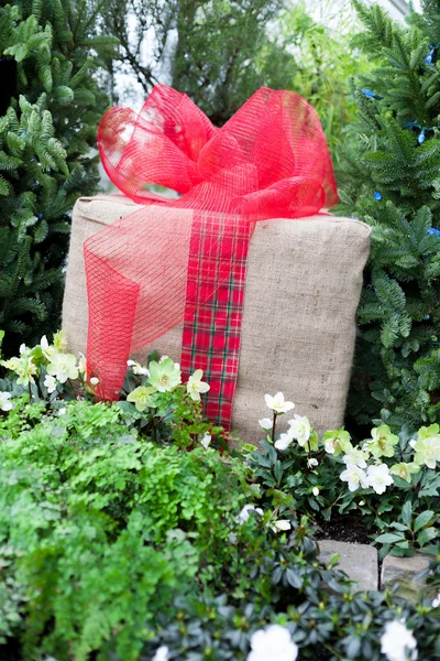 Brązowy tkaniny owinięty prezent na Boże Narodzenie z jasnym czerwonym Babie lato wśród drzew w Allan Gardens, Toronto, Ontario, Kanada — Zdjęcie stockowe
