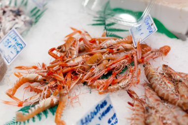 Karides bir Pazar, La Boqueria Market, Barcelona, Katalonya, İspanya satışa dondurulmuş görüntü