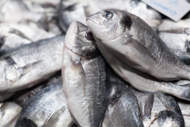 Satılık donmuş kirişler yığını