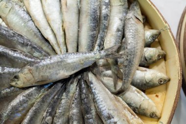 At mackerels bir piyasa ahır, La Boqueria Market, Barcelona, Katalonya, İspanya satışa yığını