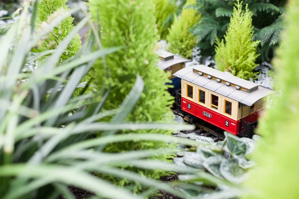 Spielzeugeisenbahn umgeben von Weihnachtsblumen — Stockfoto