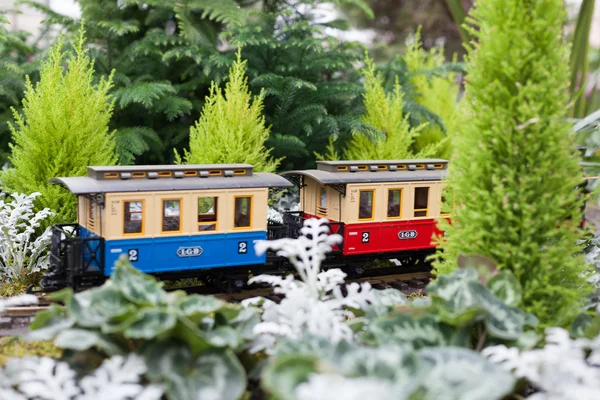 Toy train surrounded by Christmas flowers — Stock Photo, Image