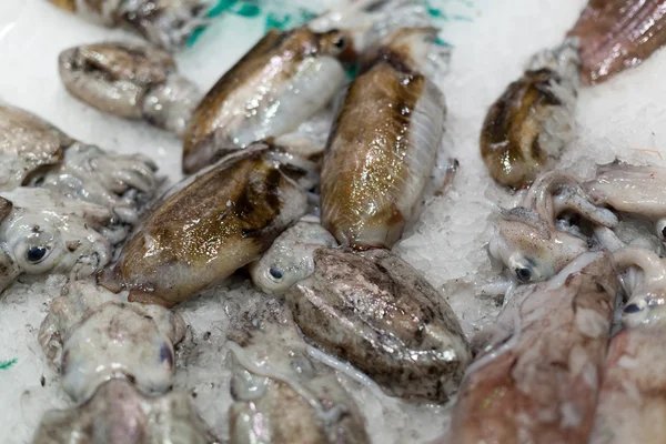 Wyświetlacz mrożonych kałamarnic na sprzedaż na rynku, rynku La Boqueria, Barcelona, Katalonia, Hiszpania — Zdjęcie stockowe