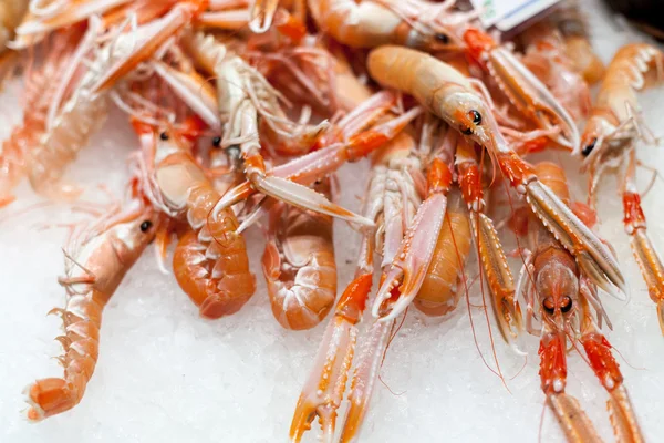 Esposizione gamberetti congelati in vendita in un mercato, Mercato La Boqueria, Barcellona, Catalogna, Spagna — Foto Stock