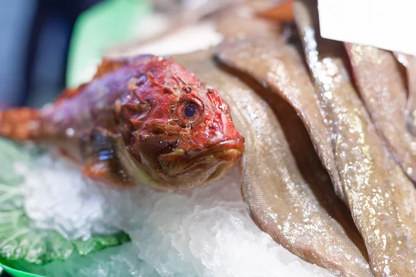 在巴塞罗那拉博奎里亚市场、巴塞罗那、加泰罗尼亚、西班牙的市场展示冷冻鱼出售 — 图库照片