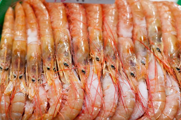 Mostrar camarões congelados à venda em um mercado, La Boqueria Market, Barcelona, Catalunha, Espanha — Fotografia de Stock