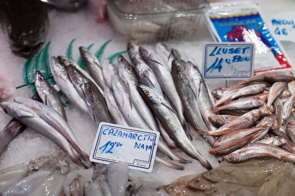 Varity bir pazar ahır, La Boqueria Market, Barcelona, Katalonya, İspanya, dondurulmuş balık — Stok fotoğraf